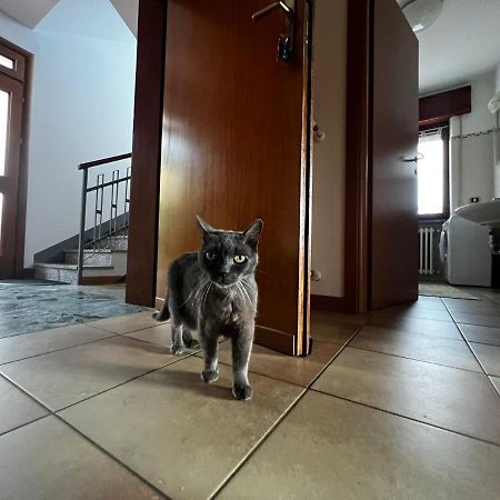 My Holidays - Musso Apartment Luaran gambar