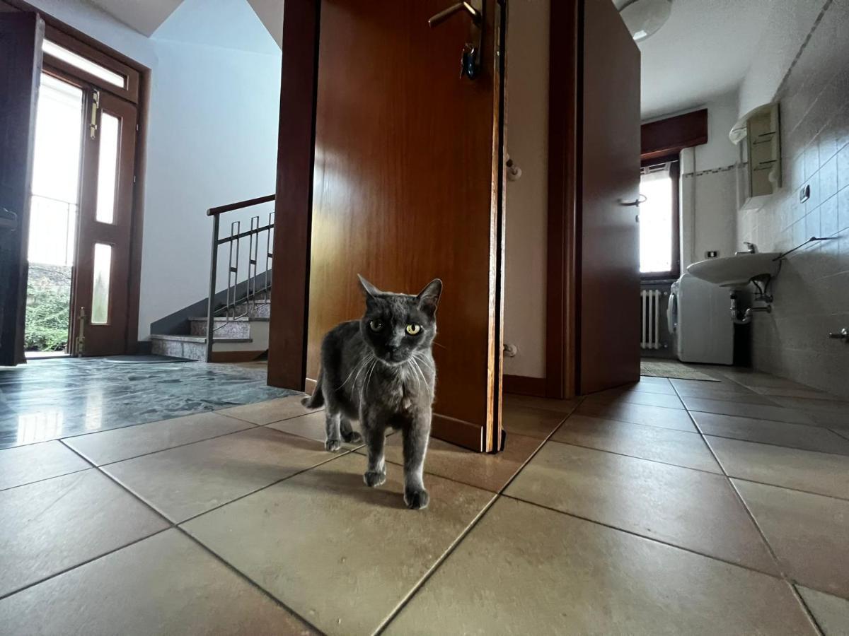 My Holidays - Musso Apartment Luaran gambar